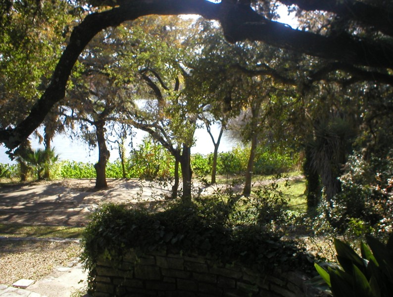 lake side yard.JPG